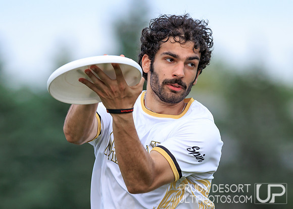 2026 USA Ultimate Division I College Championships