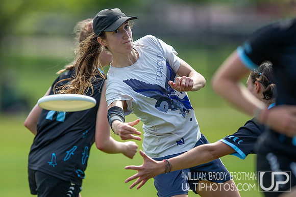 Day 1 at the 2026 USAU D-III College Championships