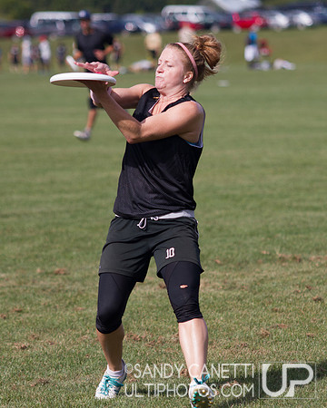 2013 USA Ultimate Metro New York Mixed Sectionals