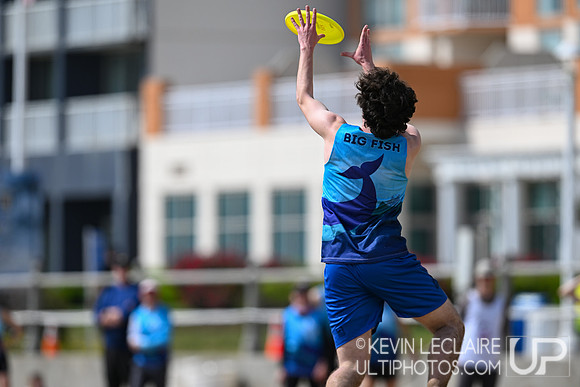 Big Fish vs Beach Bulls - Saturday - 2026 USA Ultimate Beach Cha