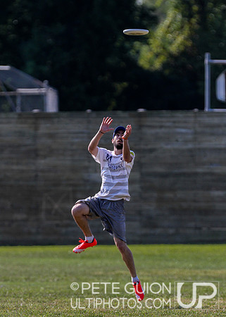 Capitol Sectionals