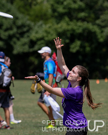 Capitol Sectionals
