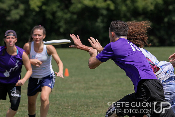 Capitol Sectionals