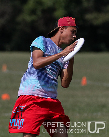 Capitol Sectionals