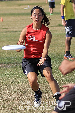 USAU Northeast Mixed Regionals -- Saturday