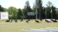 Color of Ultimate showcase - 2026 D1 College Championships