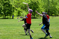 Mobtown Crumble 2026