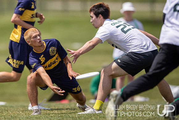 Day 1 at the 2026 USAU D-I College Championships