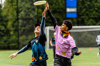 DiscFlicker Mixed Tournament