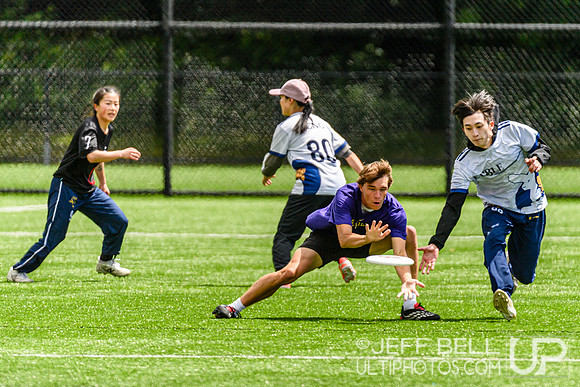 DiscFlicker Mixed Tournament