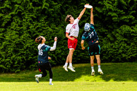 DiscFlicker Mixed Tournament