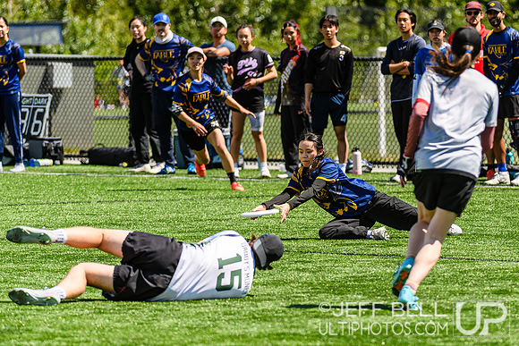 DiscFlicker Mixed Tournament