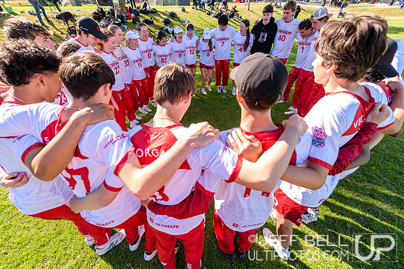 disc_flicker_day1_2026_jbp_20260606_172551