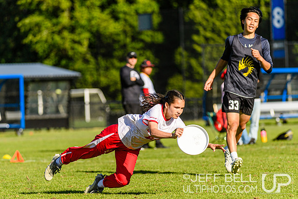 DiscFlicker Mixed Tournament