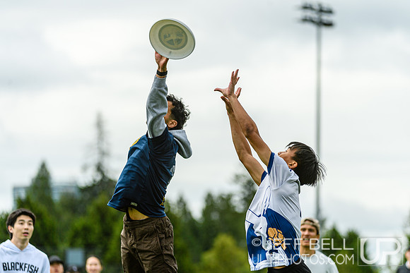 DiscFlicker Mixed Tournament