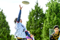DiscFlicker Mixed Tournament