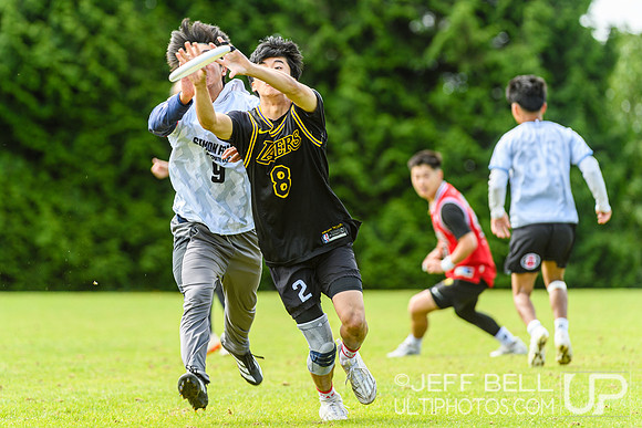 DiscFlicker Mixed Tournament