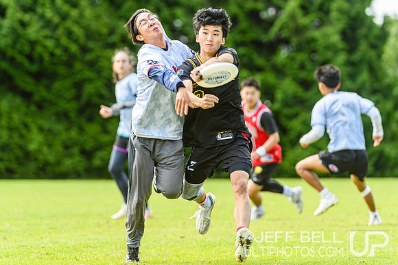 DiscFlicker Mixed Tournament