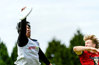 DiscFlicker Mixed Tournament