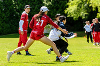 DiscFlicker Mixed Tournament