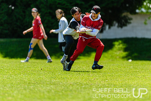DiscFlicker Mixed Tournament