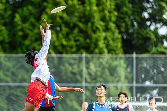 DiscFlicker Mixed Tournament