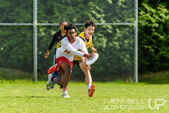 DiscFlicker Mixed Tournament