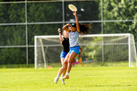 DiscFlicker Mixed Tournament