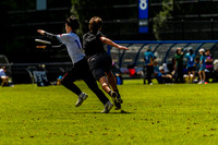 DiscFlicker Mixed Tournament