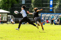 DiscFlicker Mixed Tournament