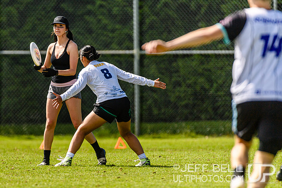 DiscFlicker Mixed Tournament