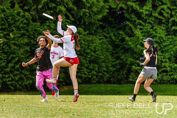 DiscFlicker Mixed Tournament