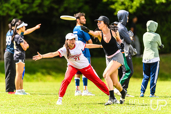 DiscFlicker Mixed Tournament