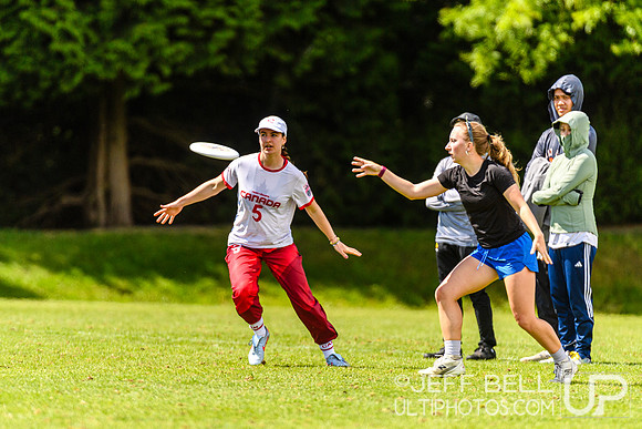 DiscFlicker Mixed Tournament