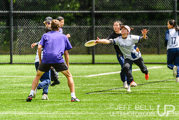 DiscFlicker Mixed Tournament