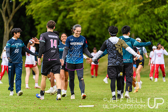 DiscFlicker Mixed Tournament