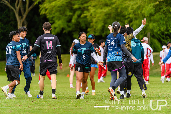 DiscFlicker Mixed Tournament