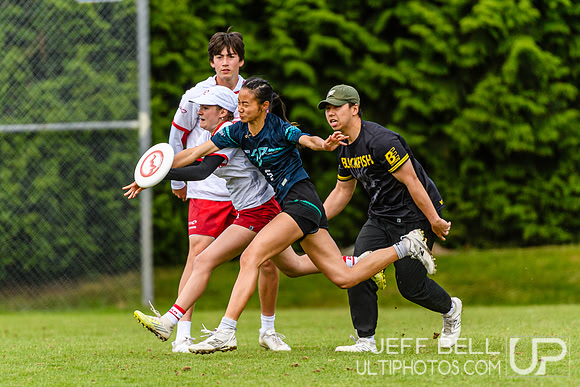 DiscFlicker Mixed Tournament