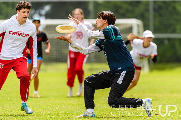 DiscFlicker Mixed Tournament