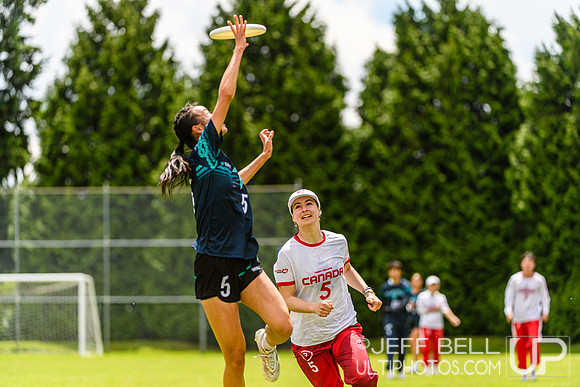 DiscFlicker Mixed Tournament