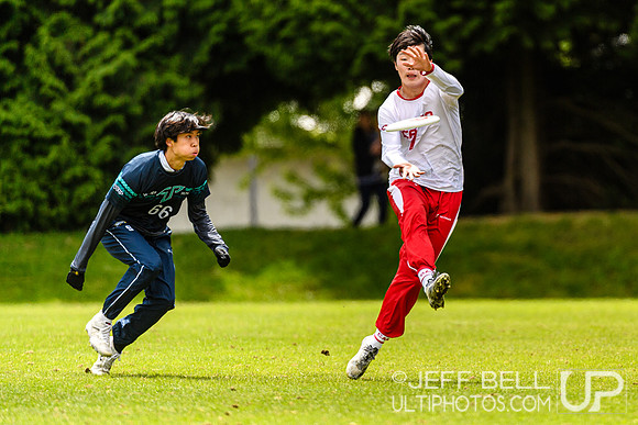 DiscFlicker Mixed Tournament