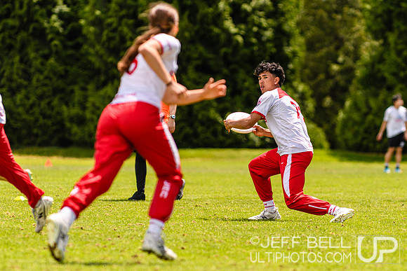 DiscFlicker Mixed Tournament