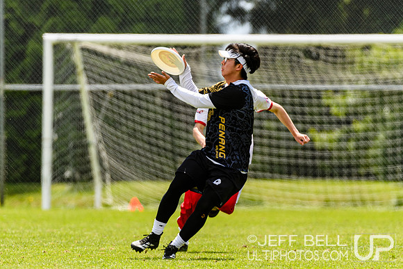DiscFlicker Mixed Tournament