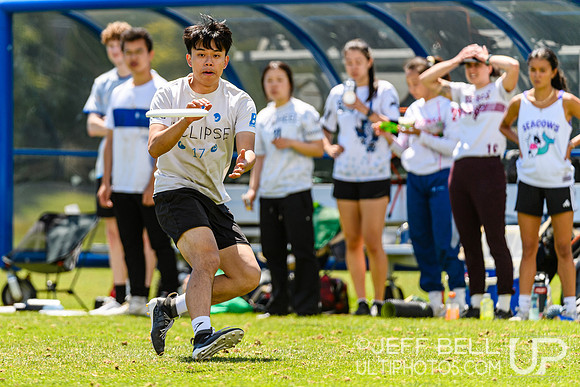 DiscFlicker Mixed Tournament