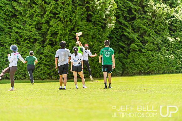 DiscFlicker Mixed Tournament
