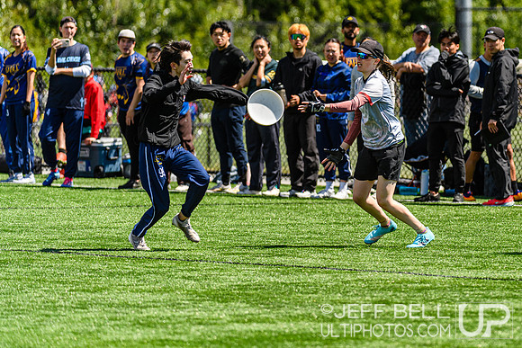 DiscFlicker Mixed Tournament
