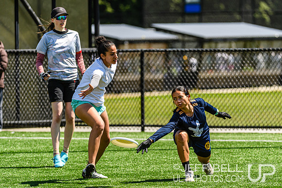 DiscFlicker Mixed Tournament