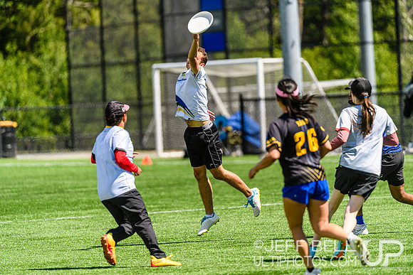 DiscFlicker Mixed Tournament
