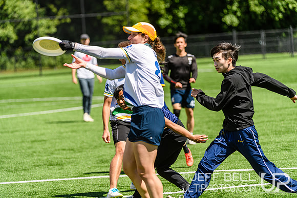 DiscFlicker Mixed Tournament