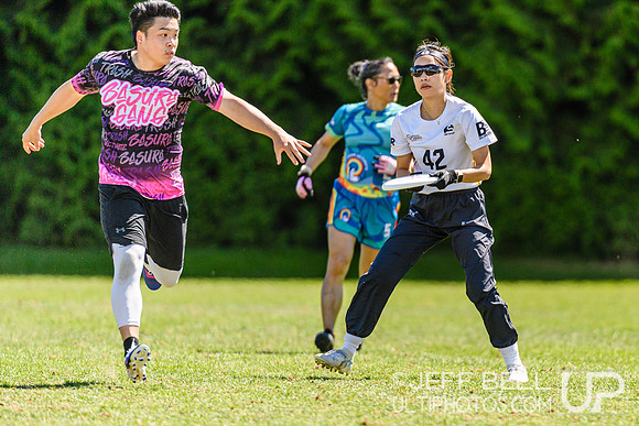 DiscFlicker Mixed Tournament